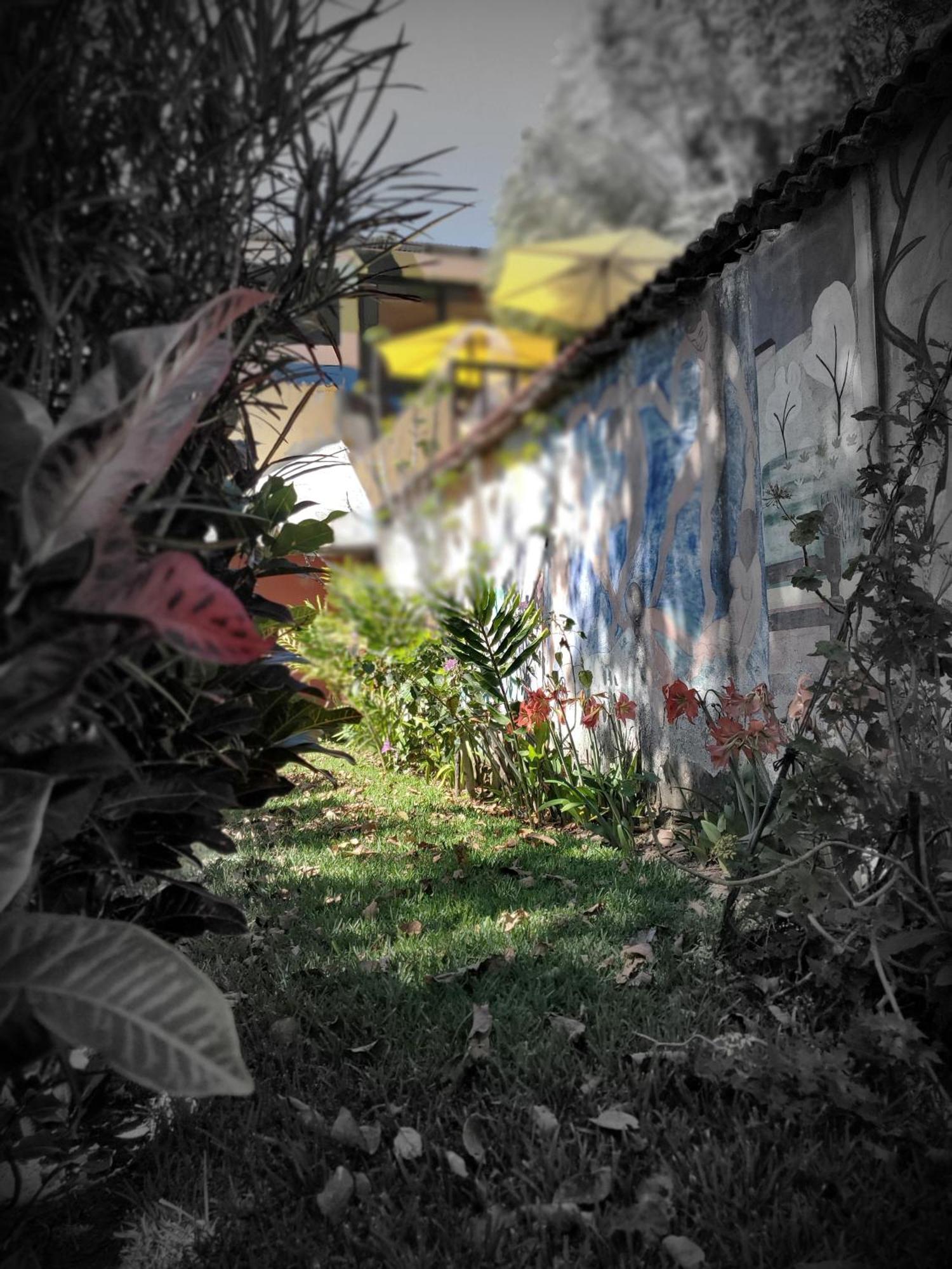 Hotel Art & Coffee Santa Cruz La Laguna Exterior foto